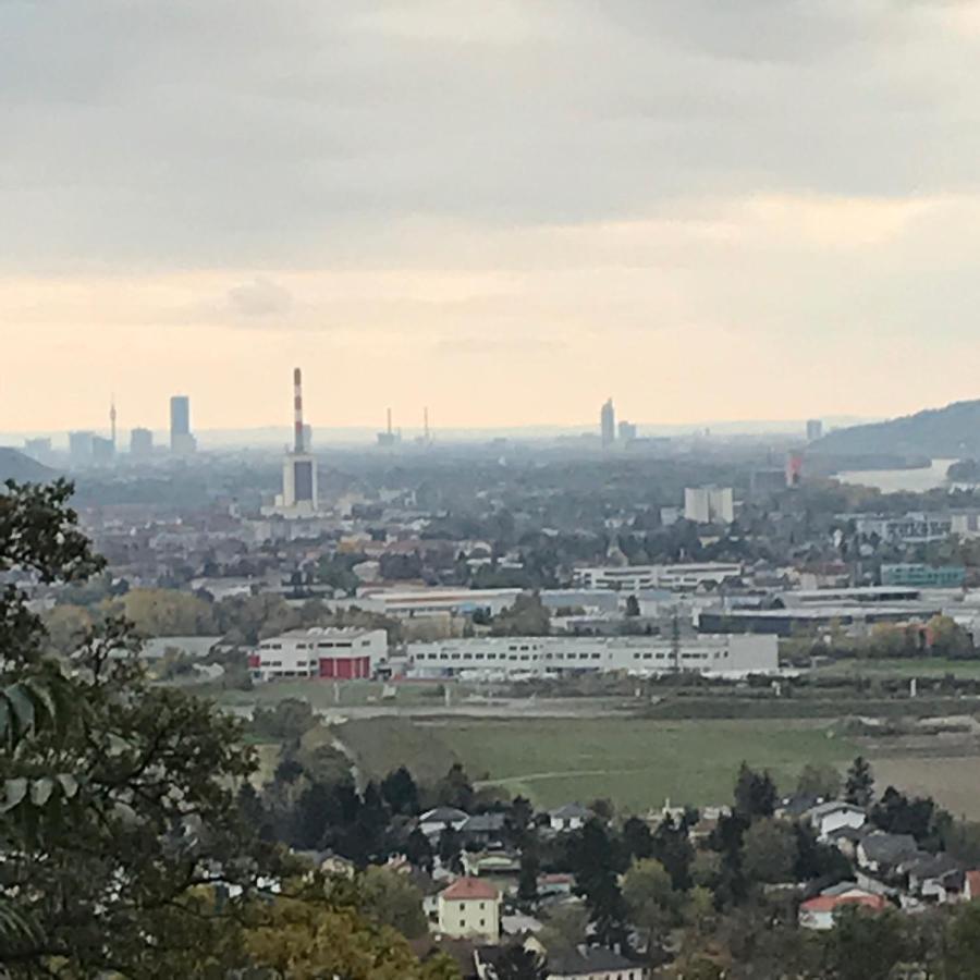 Lg Tiny Daire Korneuburg Dış mekan fotoğraf